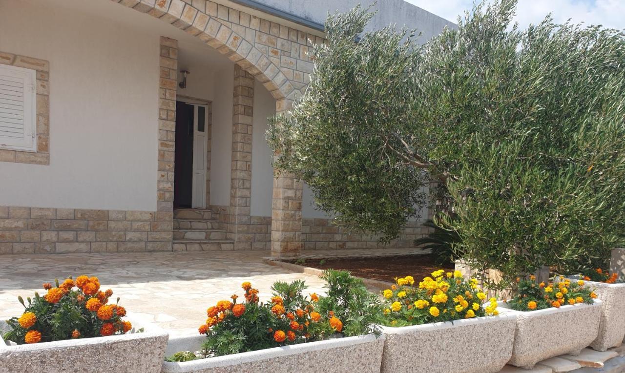 Villa Senka Nečujam 외부 사진
